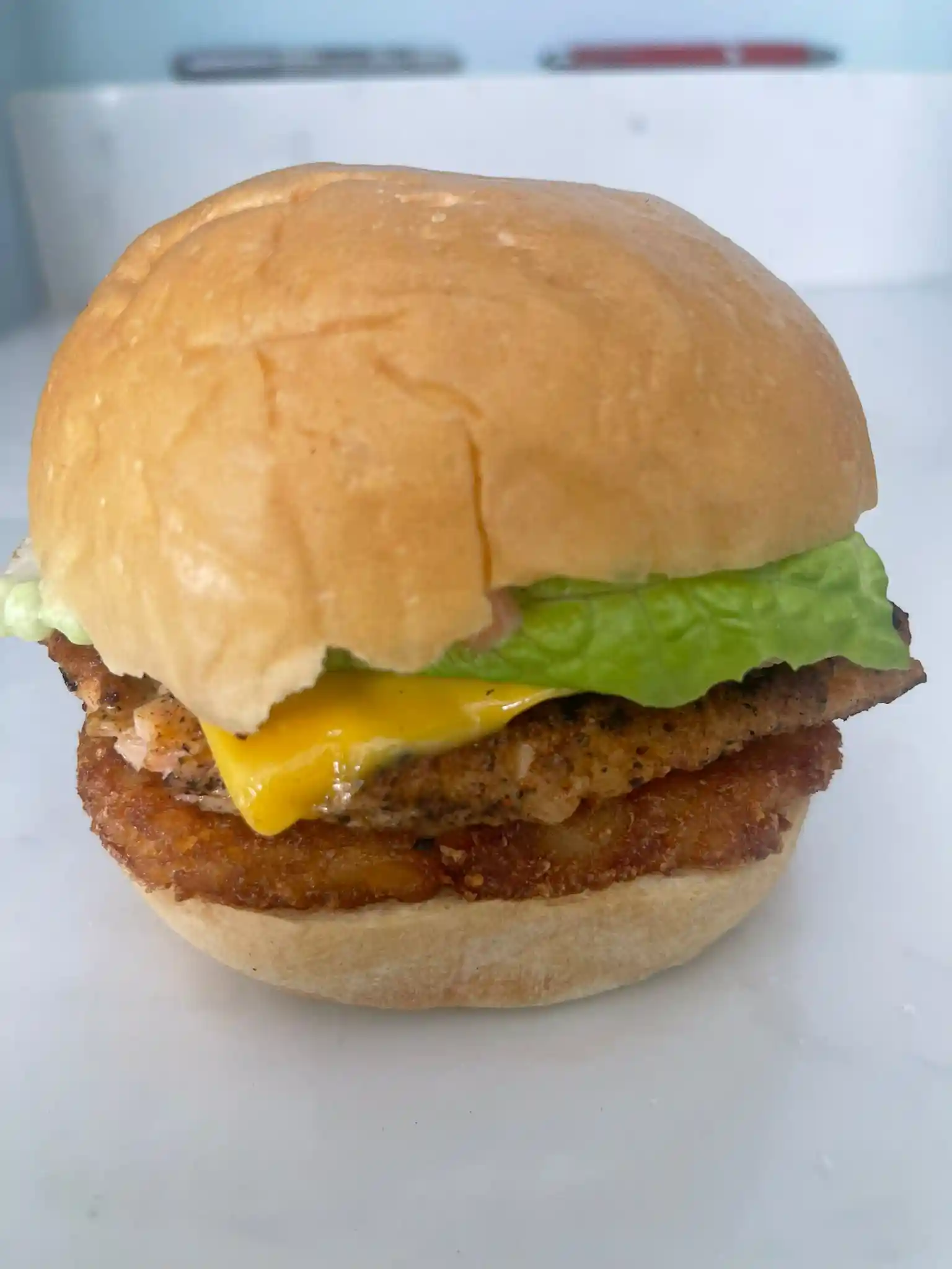 Litty's Fish Burger